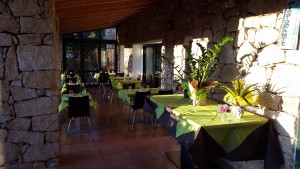 Foodie Patio